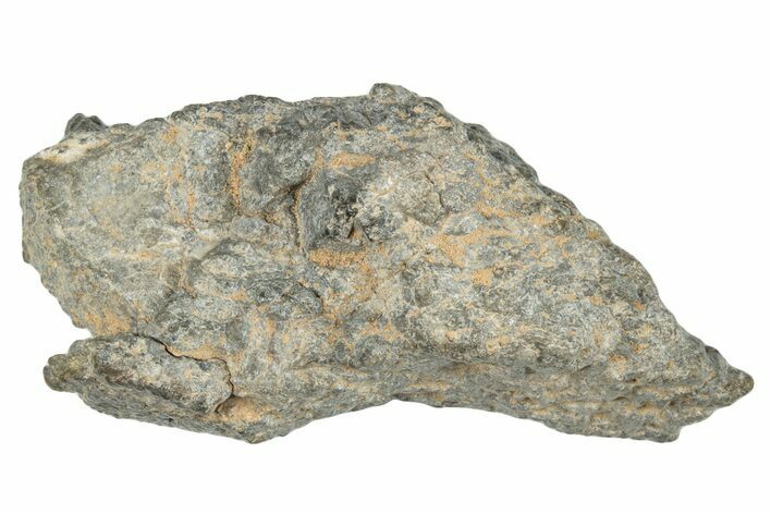 Lunar Meteorite ( g) - Laayoune #281108